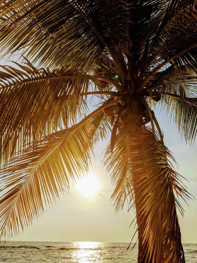 Seaside Inn Roatan West Bay Bagian luar foto